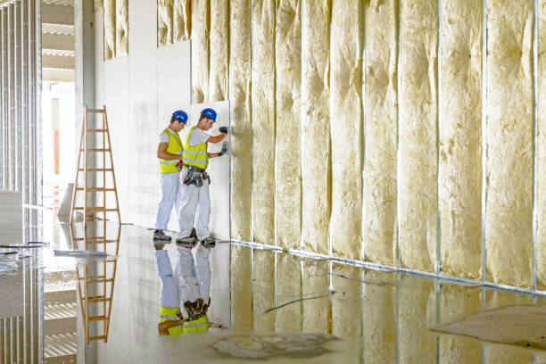 Best Professional Insulation Contractor  in Cade, LA